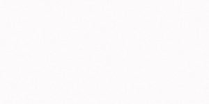 Iconic White Quartz Countertops