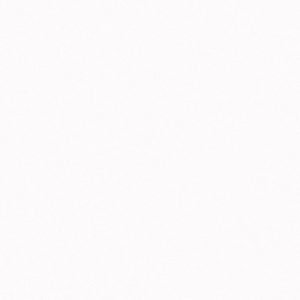 Iconic White Quartz Countertops