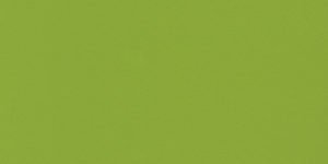 Green Fun Quartz Countertops