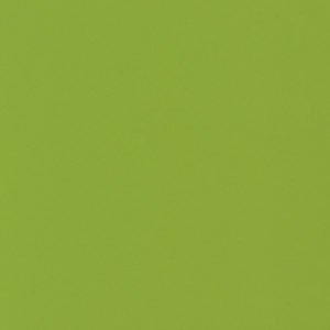 Green Fun Quartz Countertops