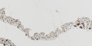 Annicca Quartz Countertops