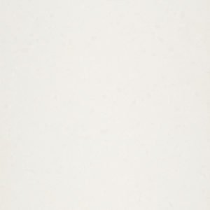 Organic White Quartz Countertops