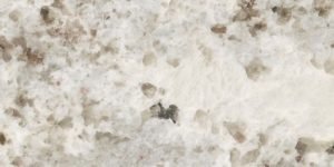 Alaska White Granite Countertops