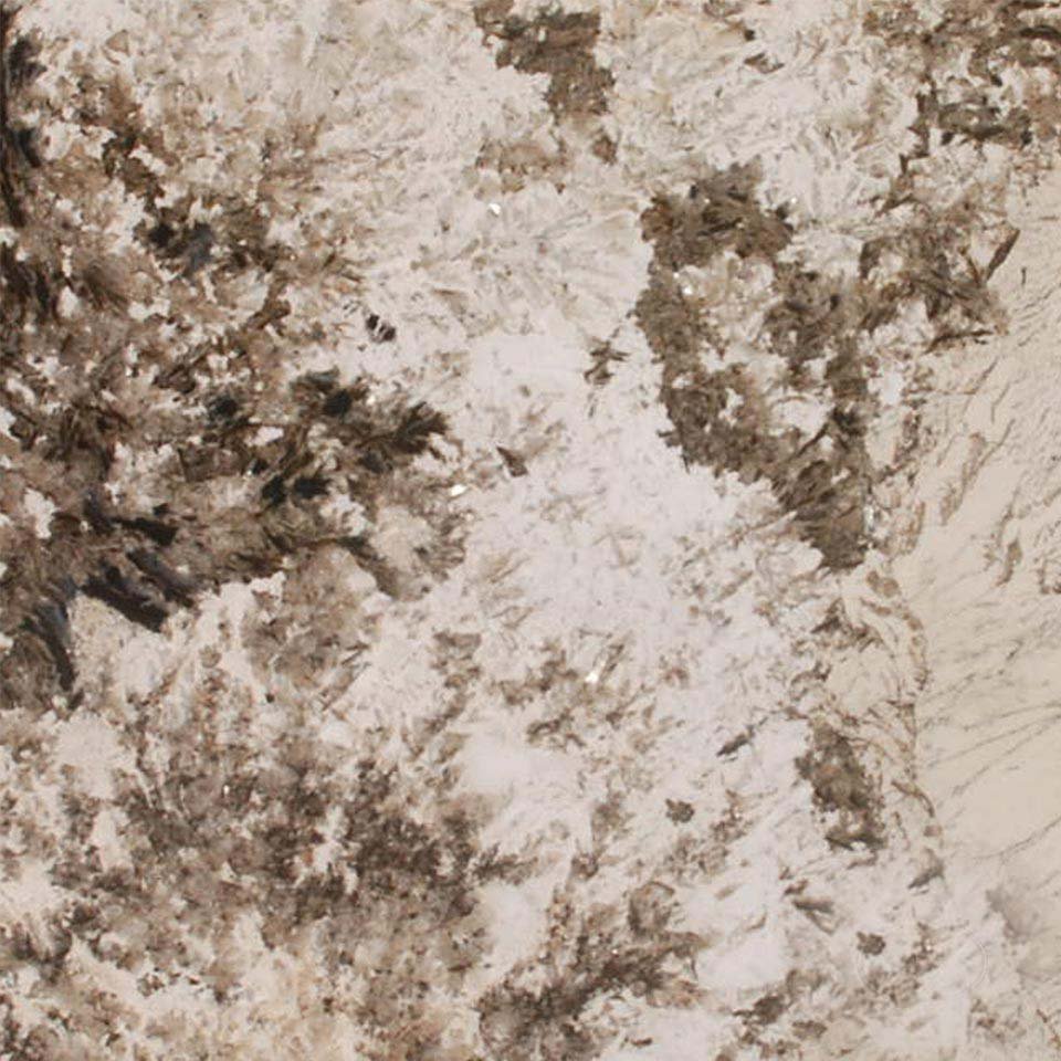 Alpine White Granite Countertops