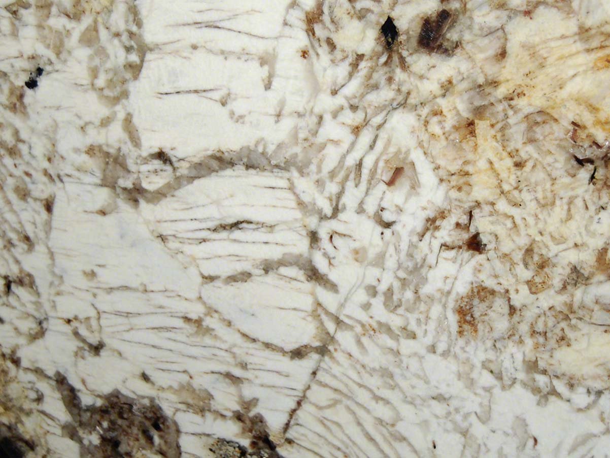 Copenhagen Granite Countertops