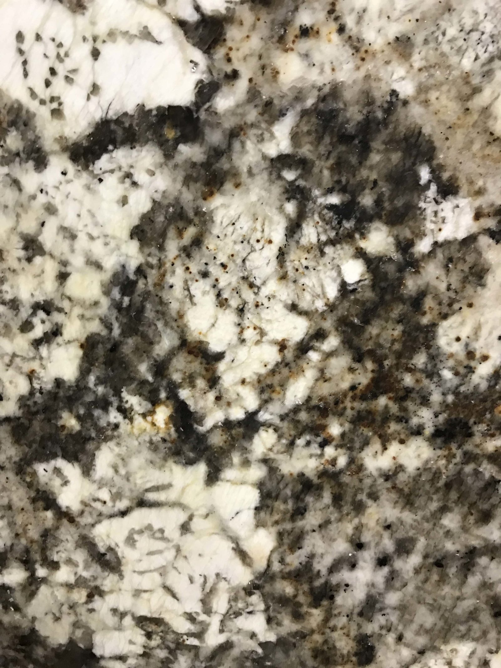 Silver Amarone Granite Countertops