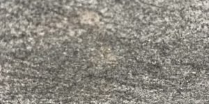 Carbon Grey Quartzite Countertops