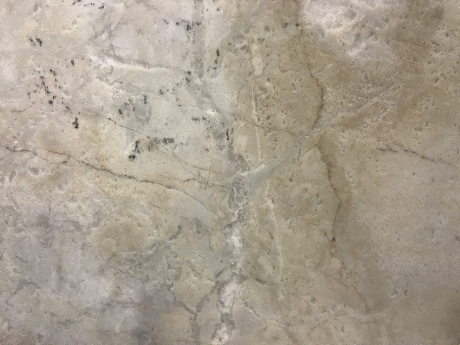 La Dolce Vita Leather Quartzite Countertops