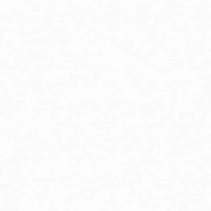 Arctic White Quartz Countertops