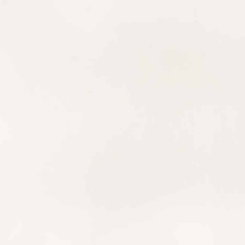 Snow White Quartz Countertops