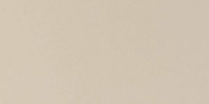 Ash Gray Quartz Countertops