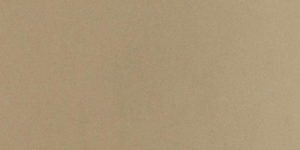 Desert Bloom Quartz Countertops