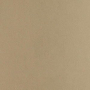 Desert Bloom Quartz Countertops