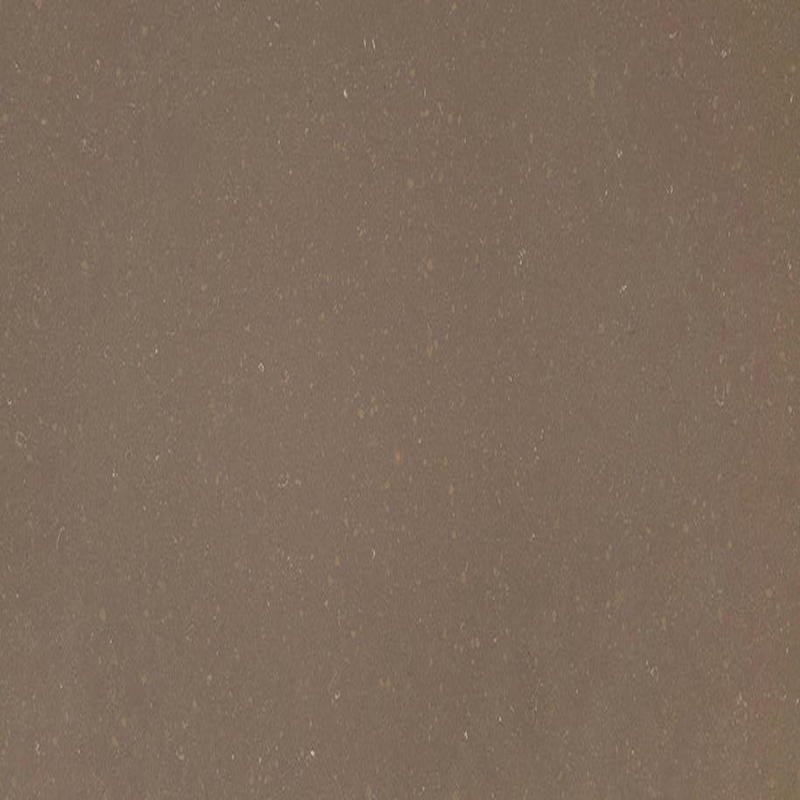 Fossil Brown Quartz Countertops