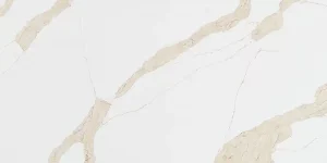 Calacatta Leon Gold Countertops