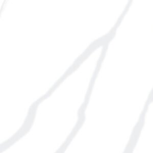 Calacatta Luna Countertops